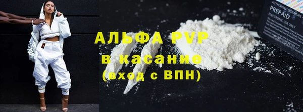 PSILOCYBIN Богданович
