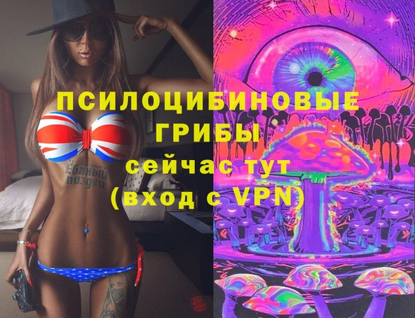 MDMA Богородицк